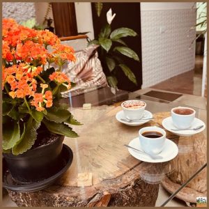 interior café sete e leiteria quedas